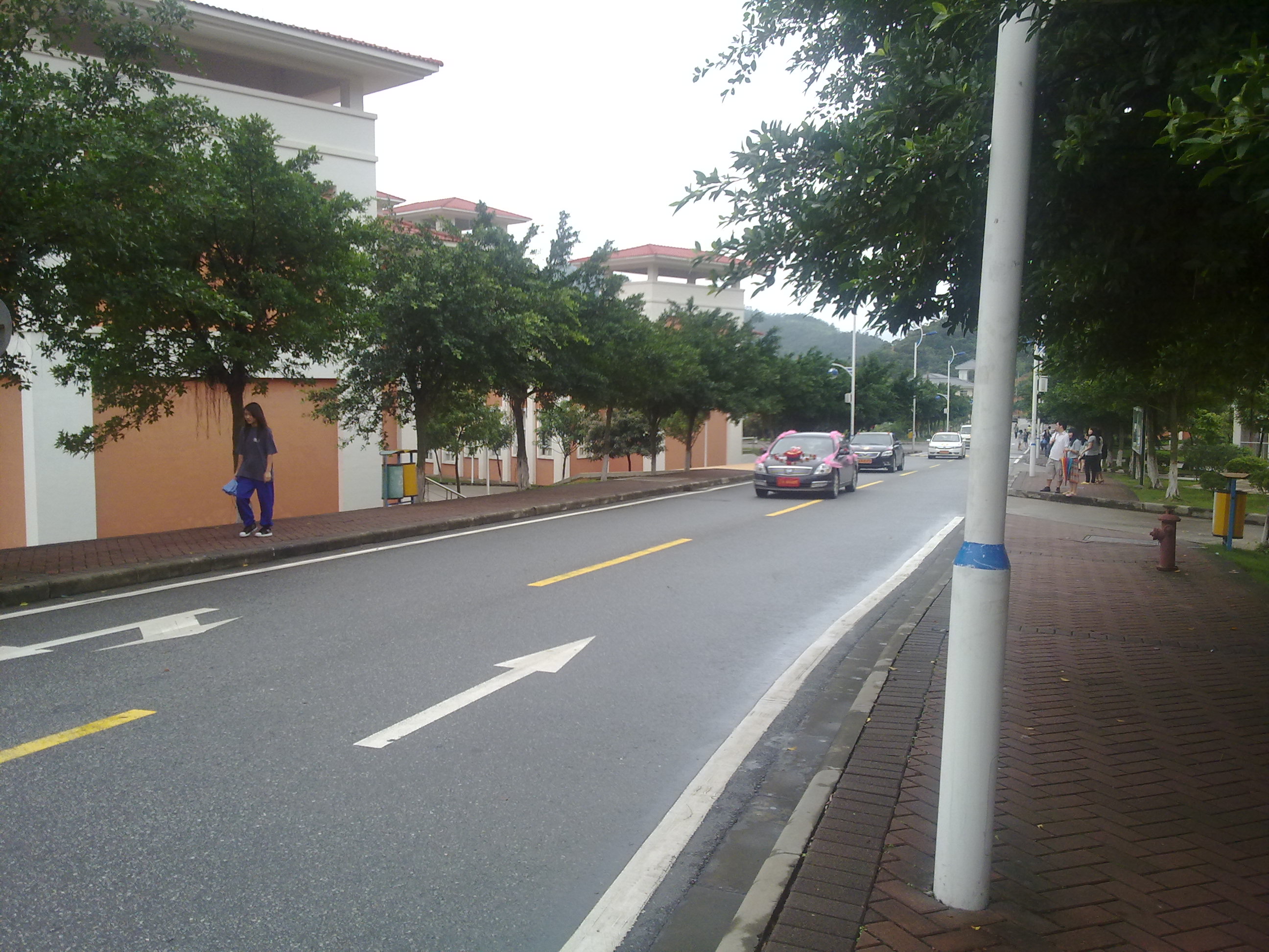 20100515100.jpg