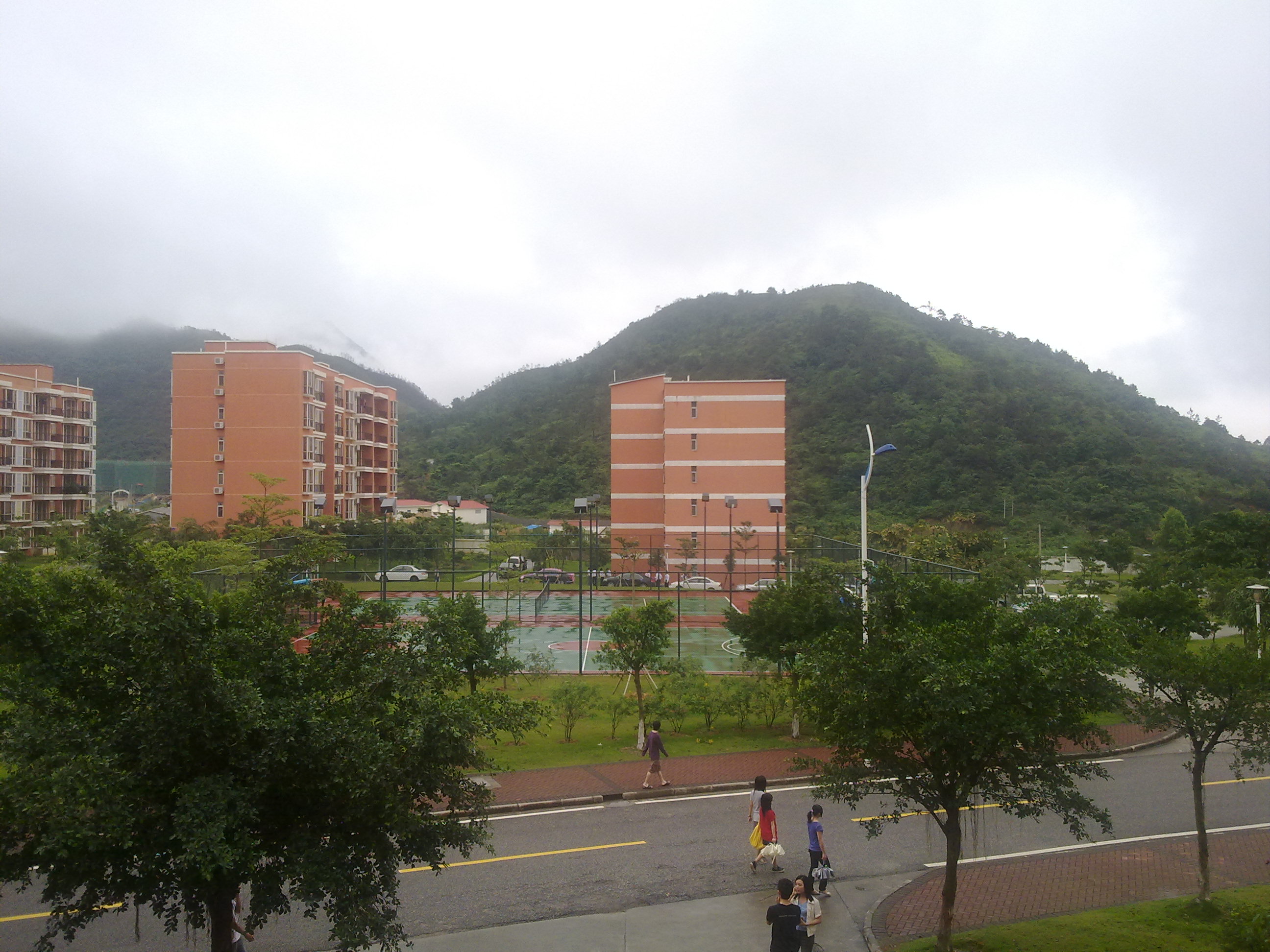 20100515084.jpg