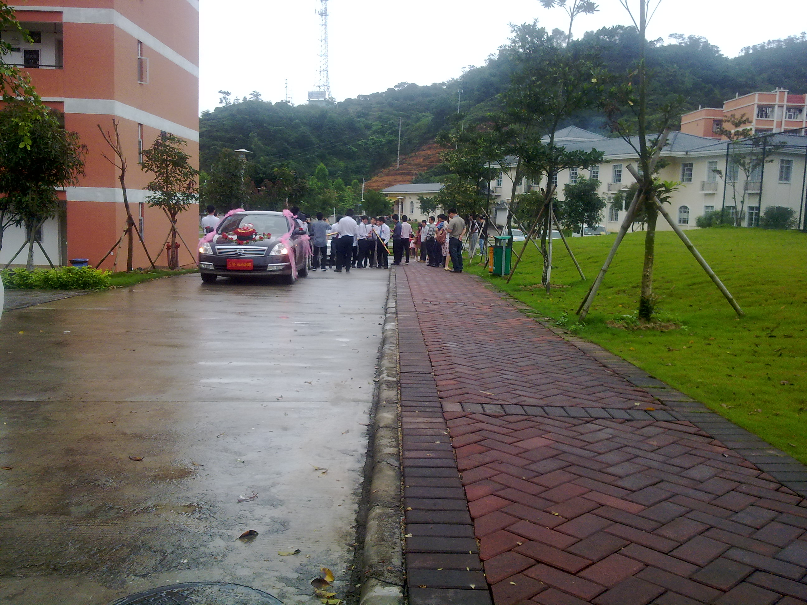20100515088.jpg