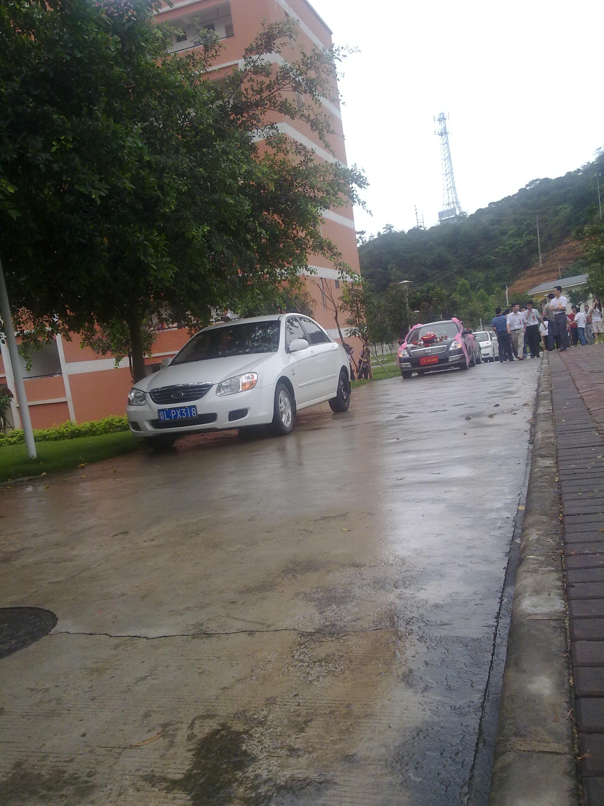 20100515086.jpg