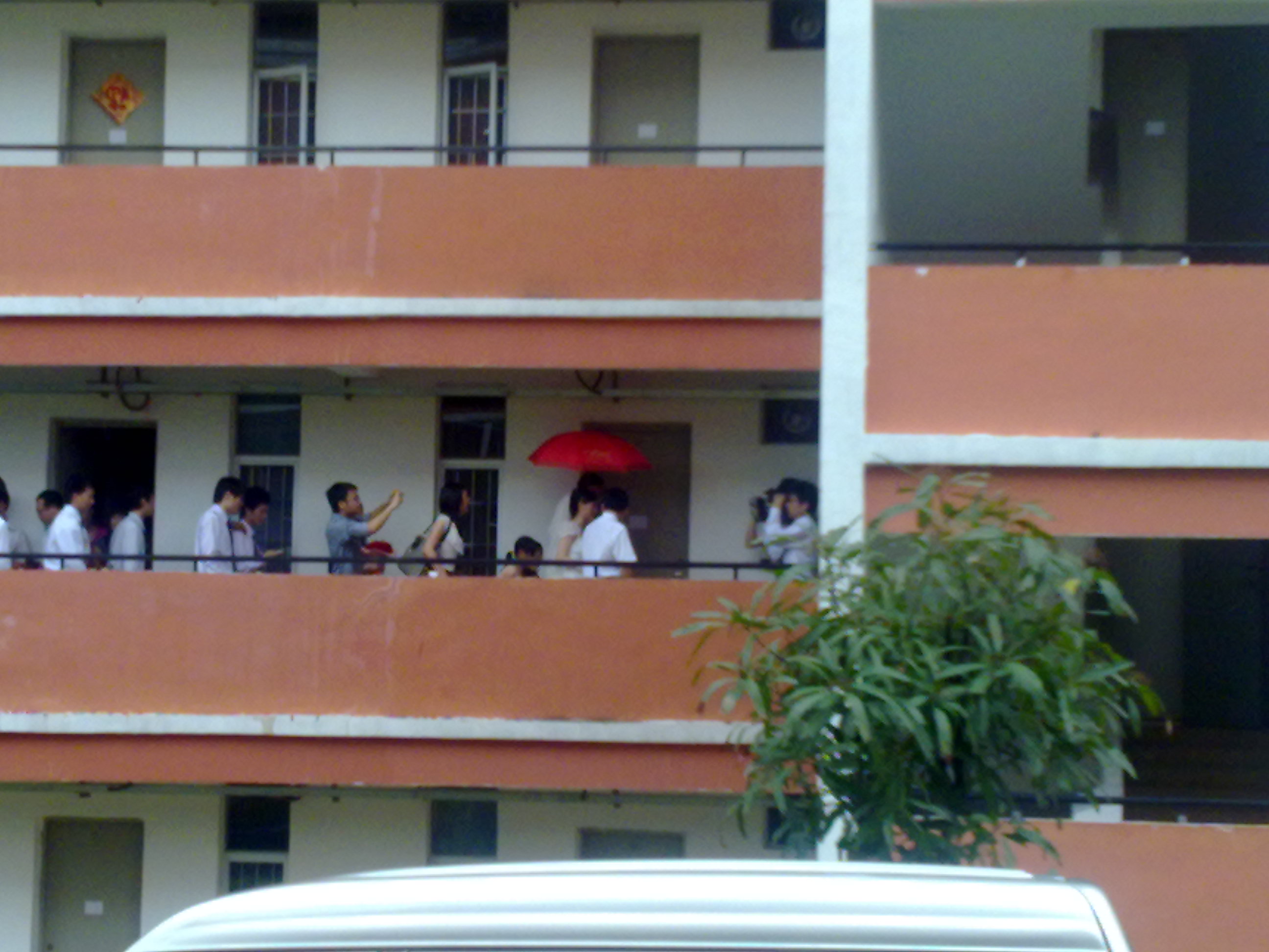 20100515092.jpg