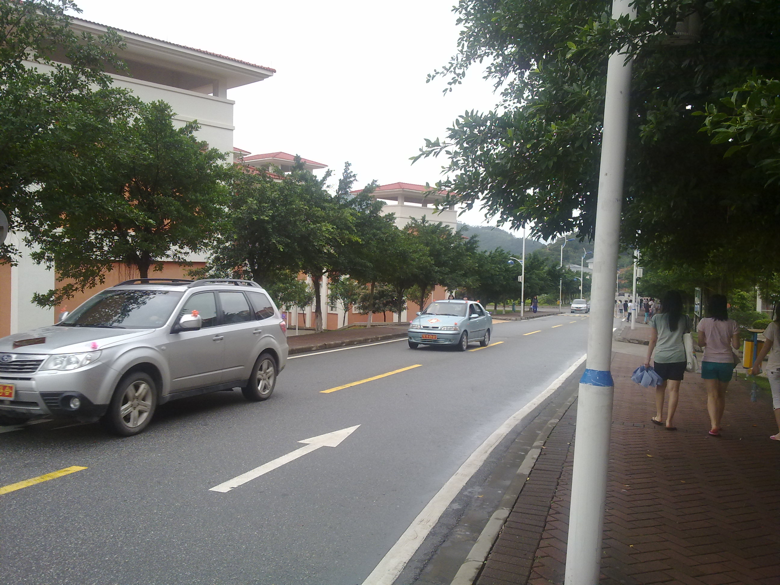 20100515099.jpg