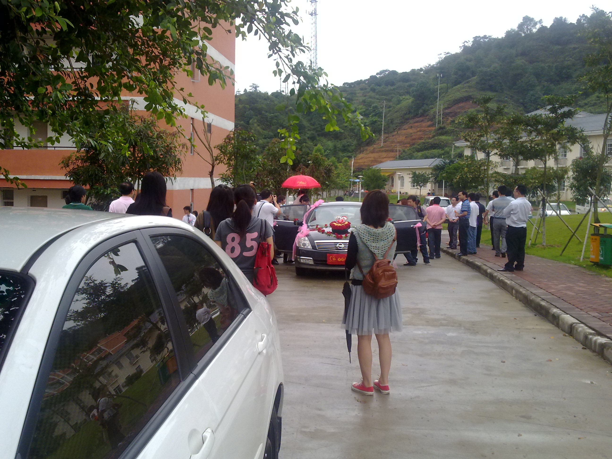 20100515098.jpg