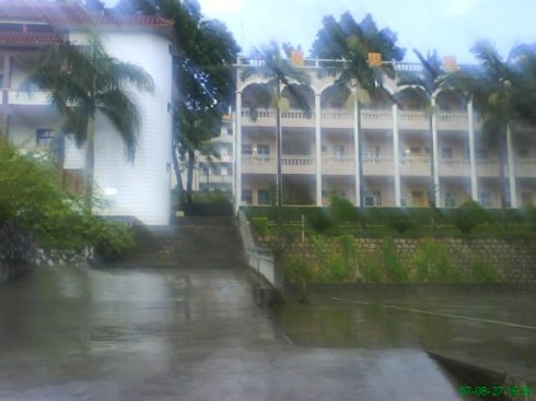 3442.jpg