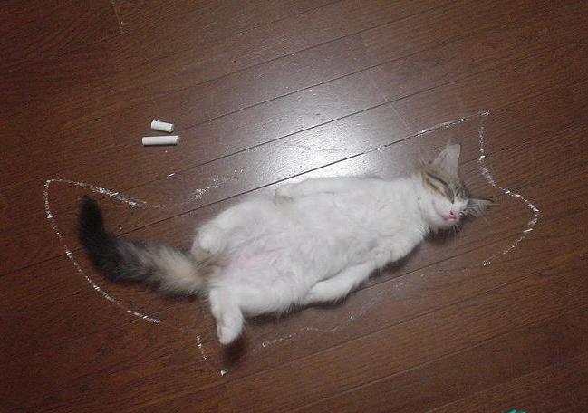 .jpg