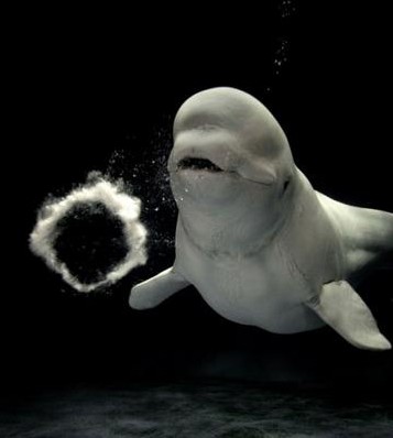 (42).jpg