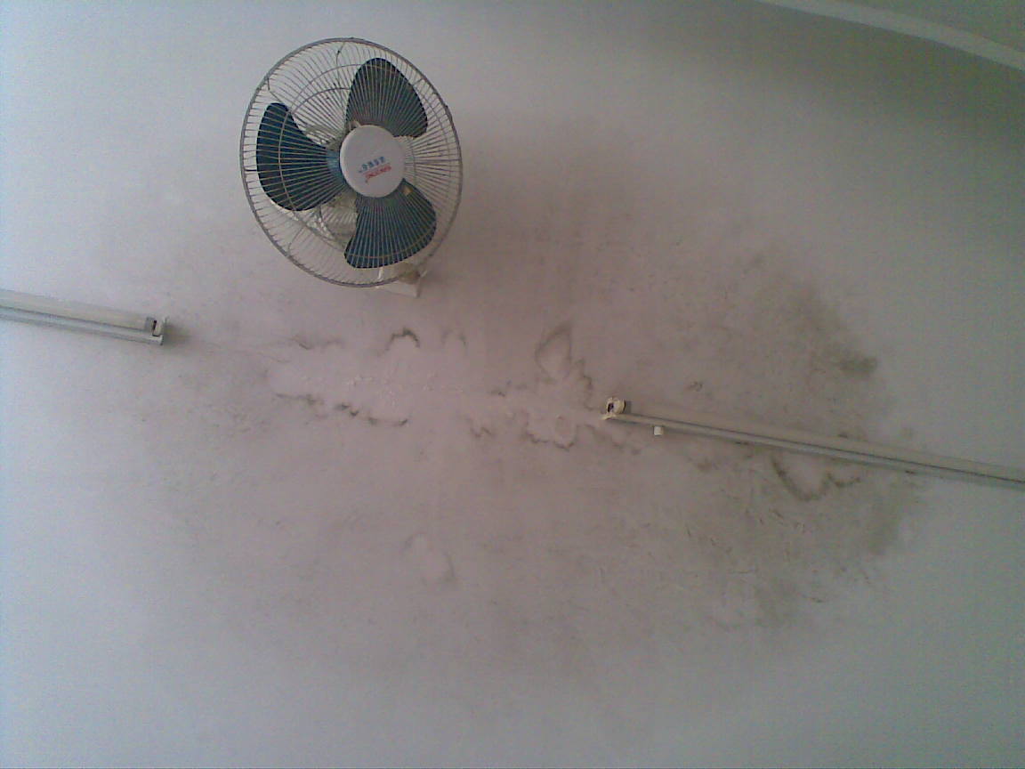 20100613.jpg