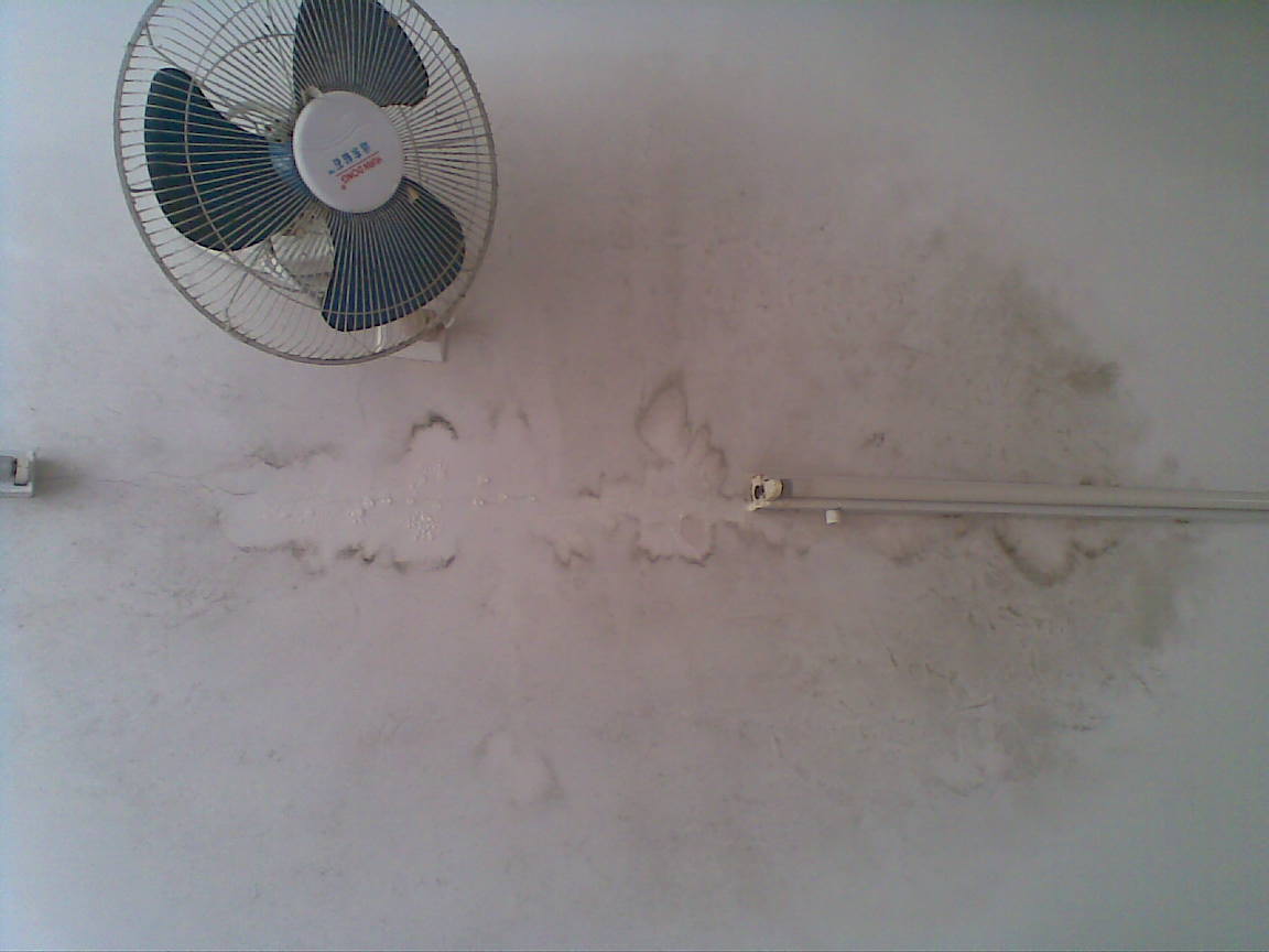 20100613(002).jpg