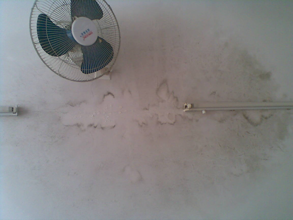 20100613(001).jpg
