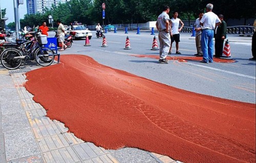1088_69431084_repaste.jpg