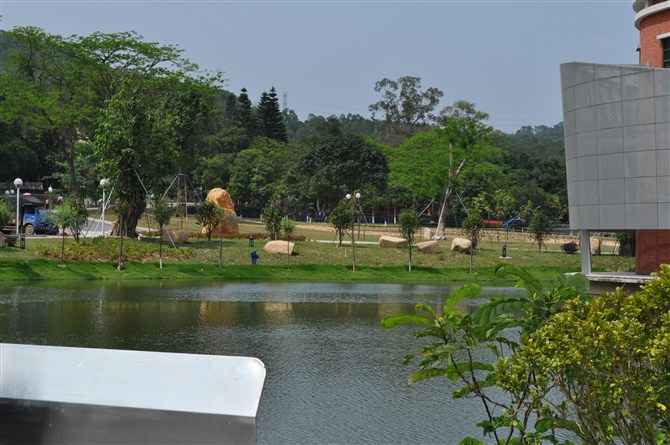 654654.jpg