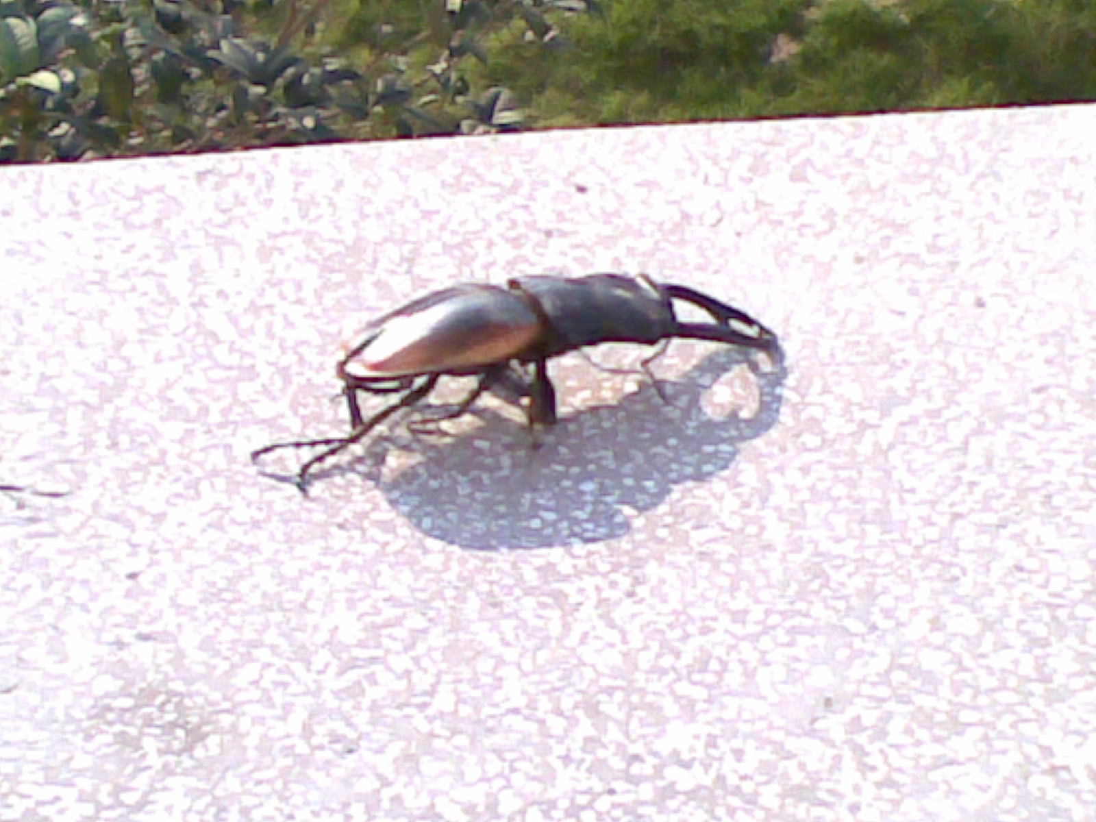 20100704_001.jpg
