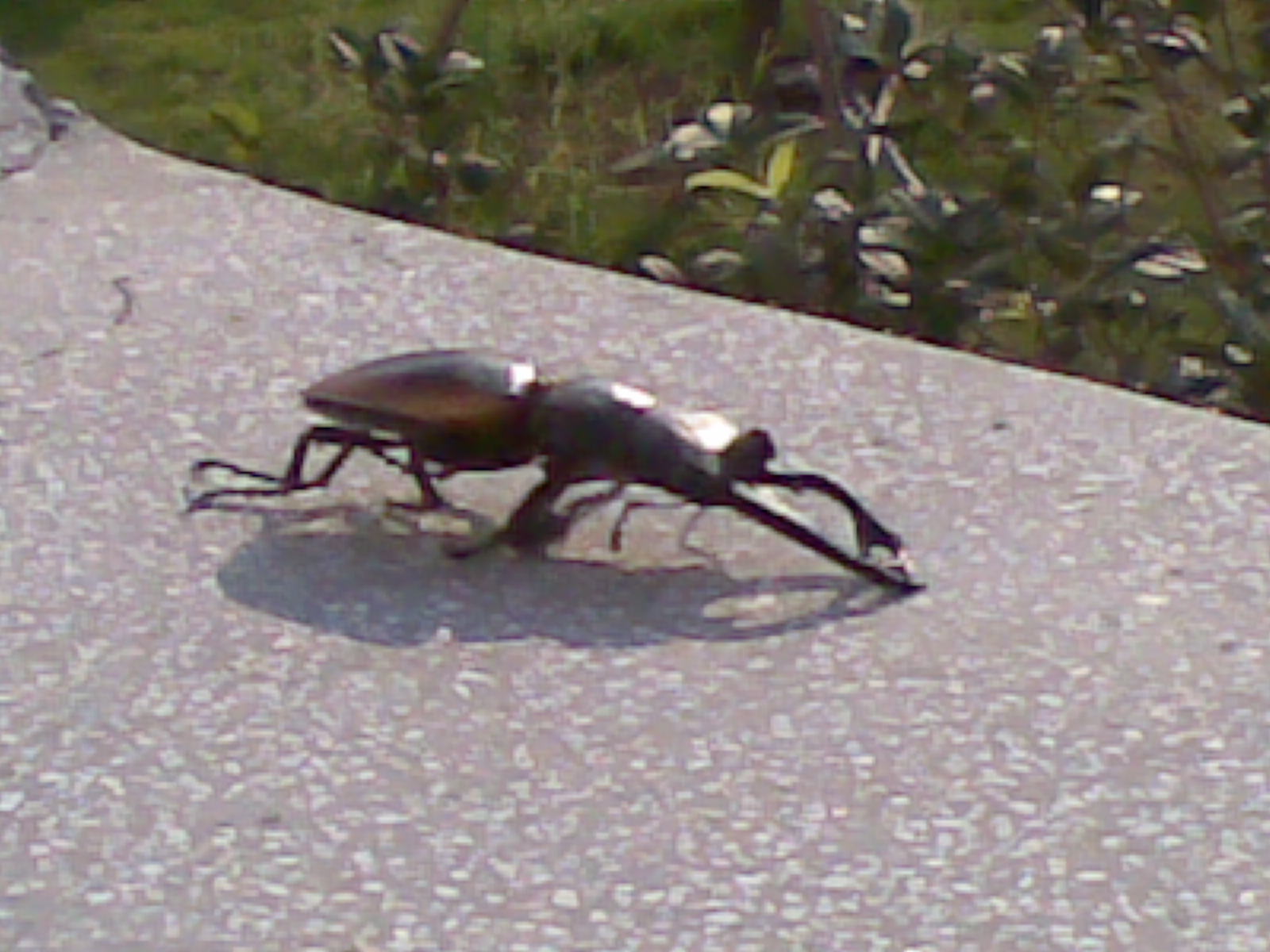 20100704_002.jpg