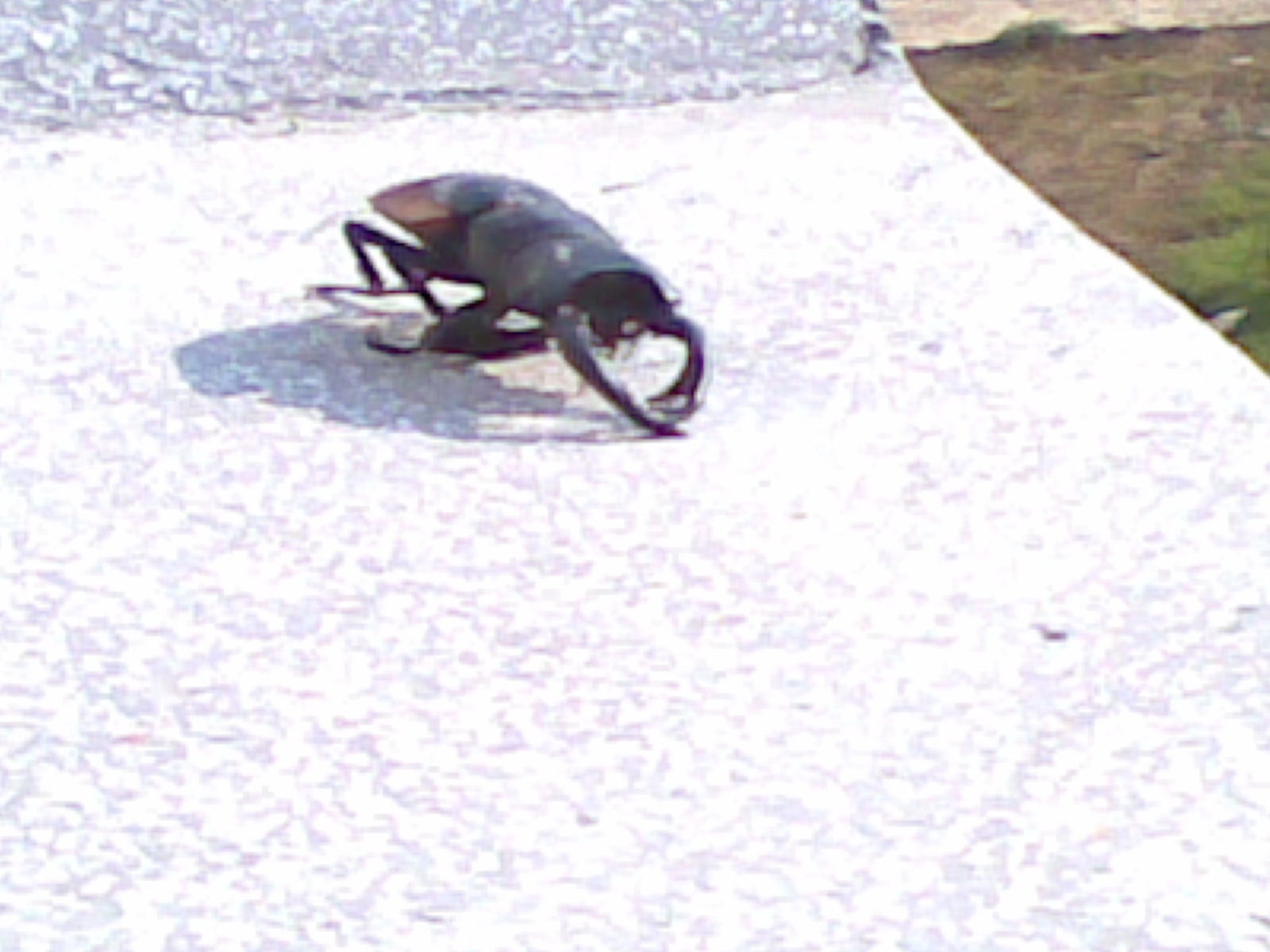 20100704_003.jpg