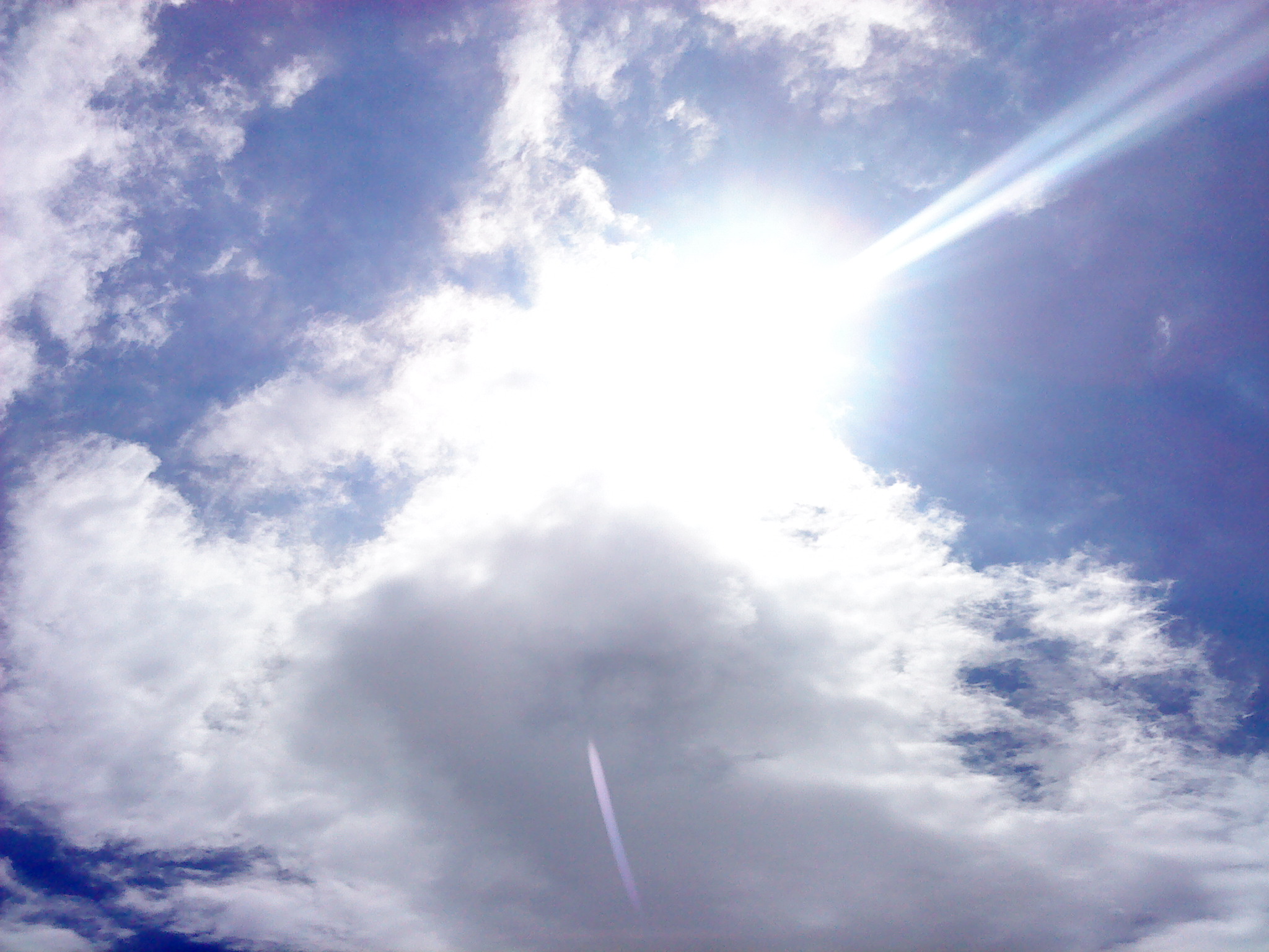 DSC01578.JPG