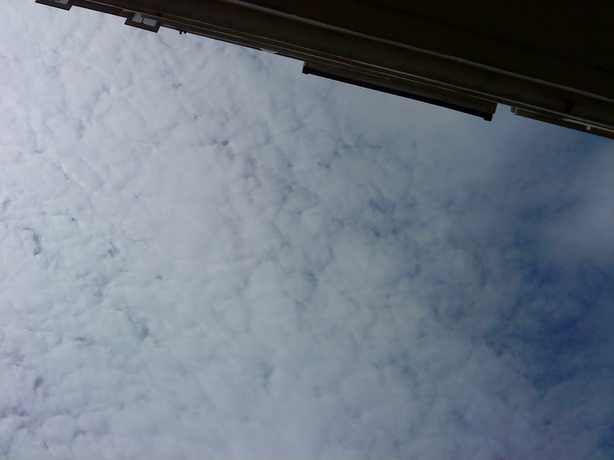 DSC01576.JPG