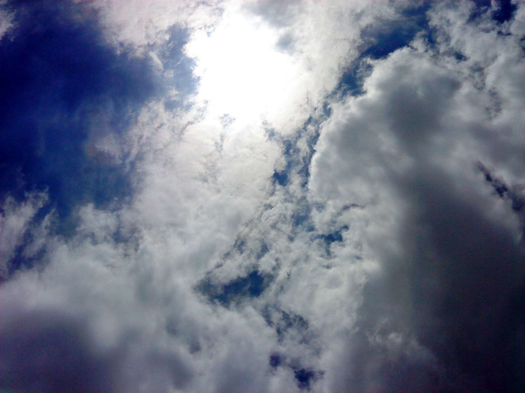 DSC01582.JPG