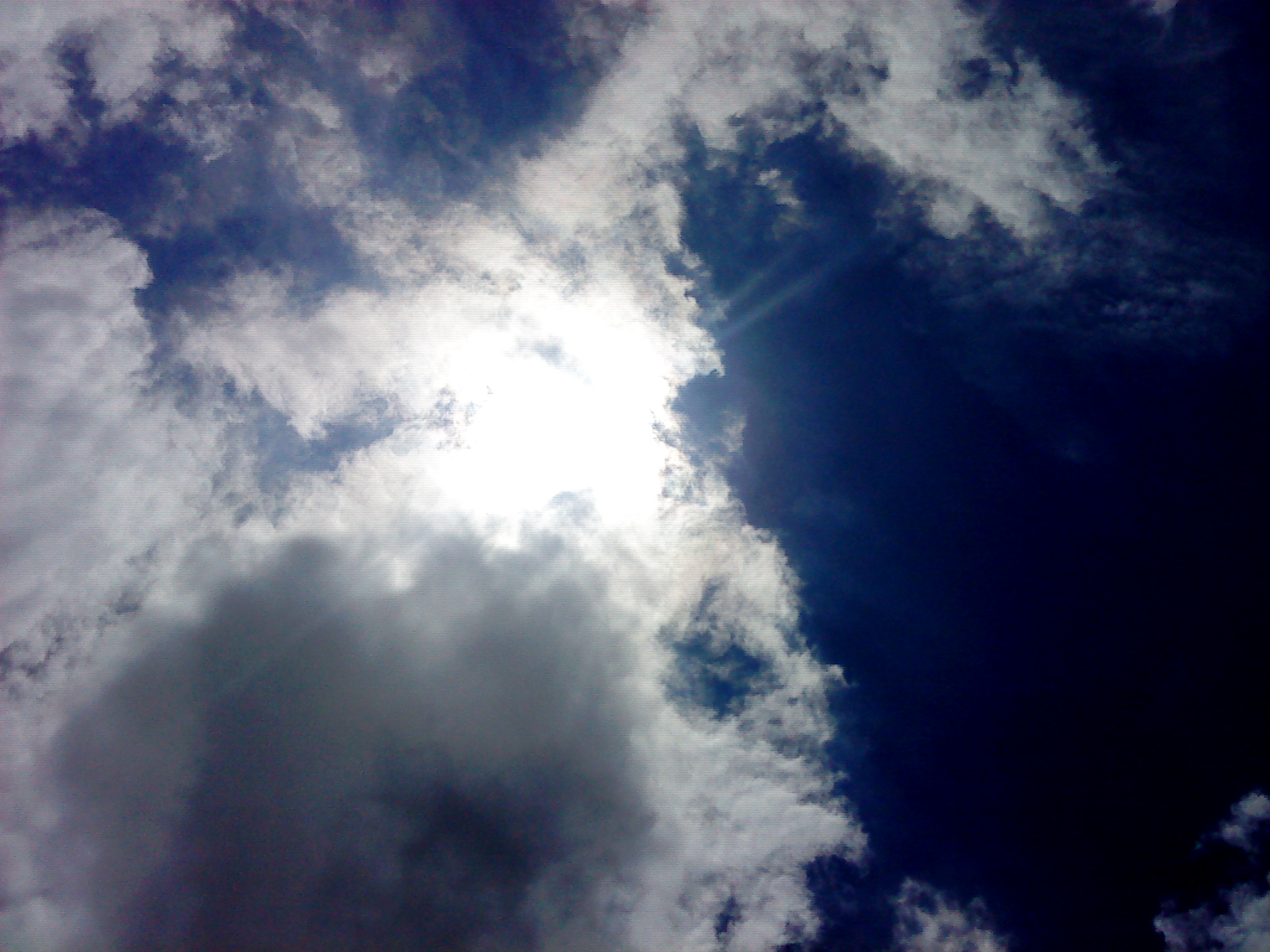 DSC01581.JPG