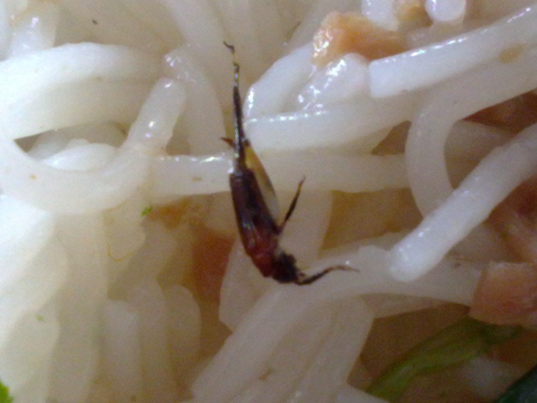 201006154907.jpg