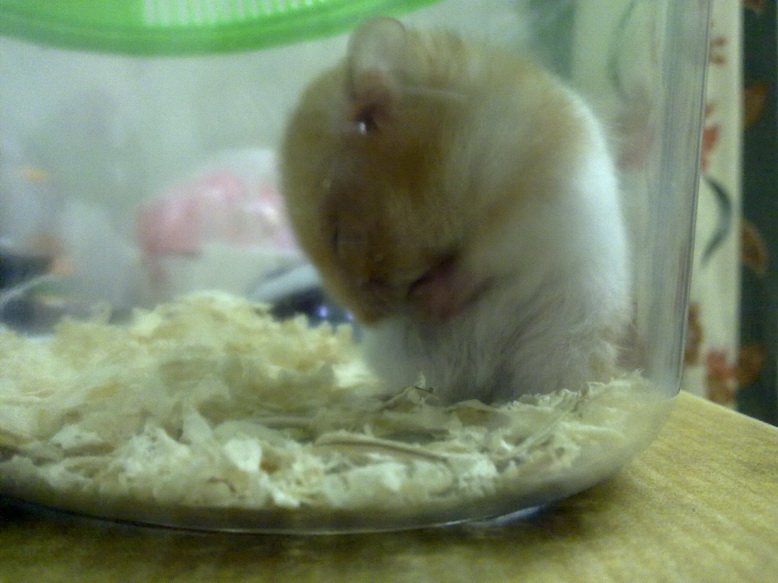 20100808082_调整大小.jpg