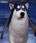 20100825115804717.jpg