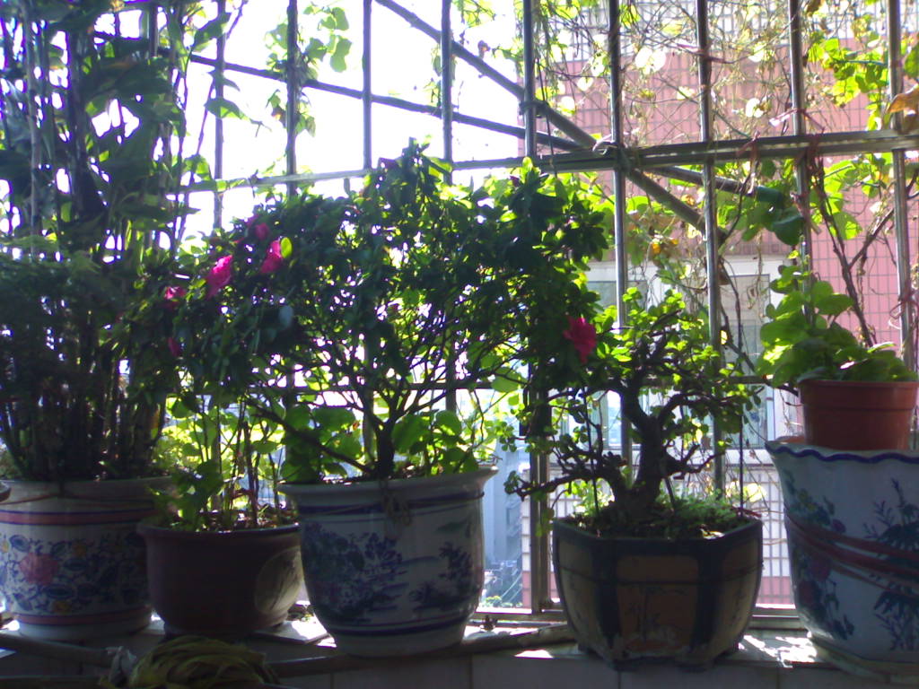 0201200915631.jpg