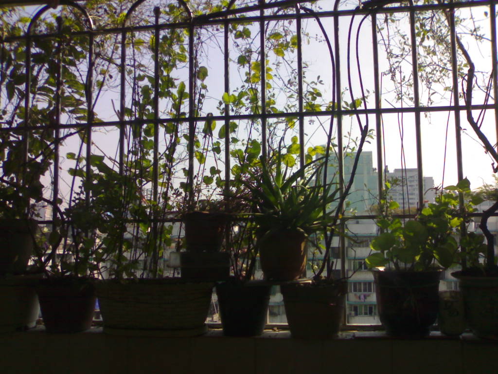 0201200915630.jpg