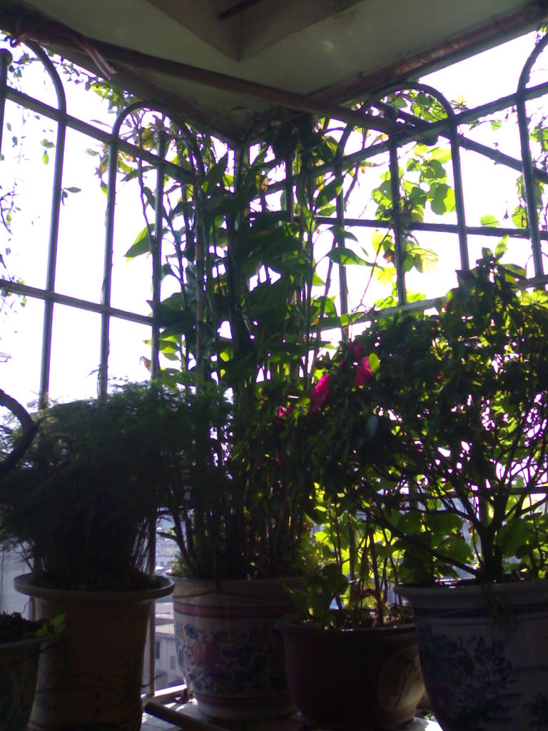 0201200915632.jpg
