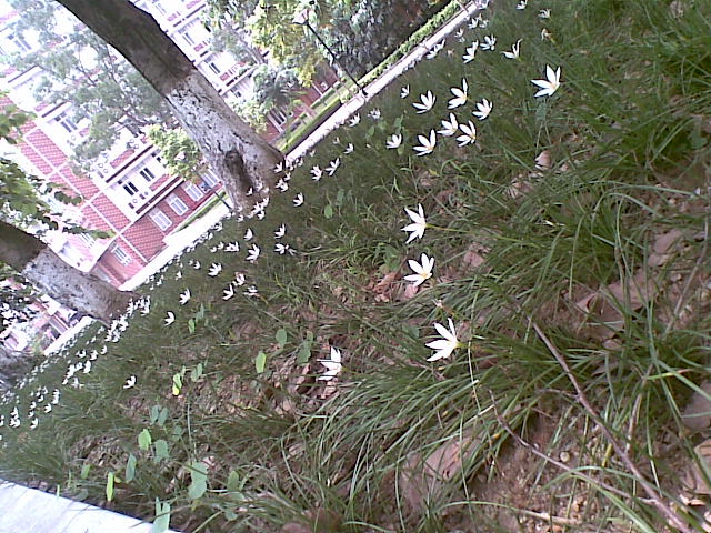 20100725(002).jpg