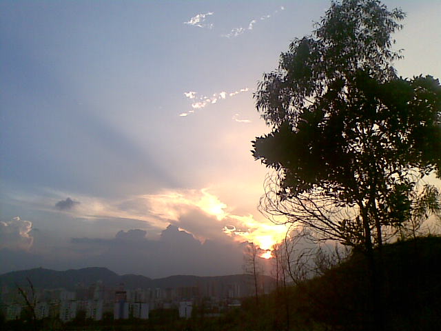 20100802(008).jpg