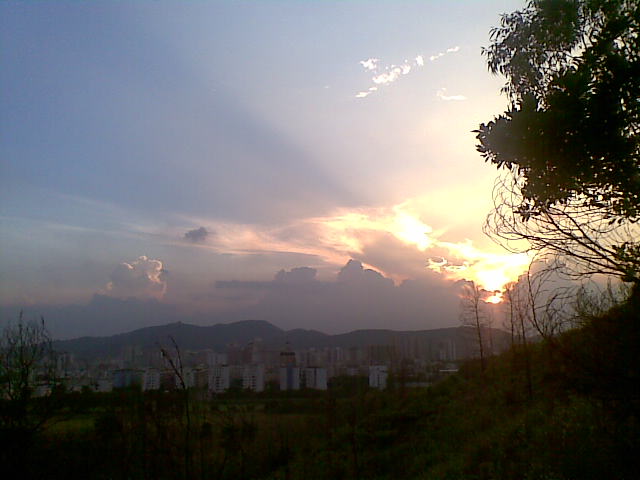 20100802(007).jpg