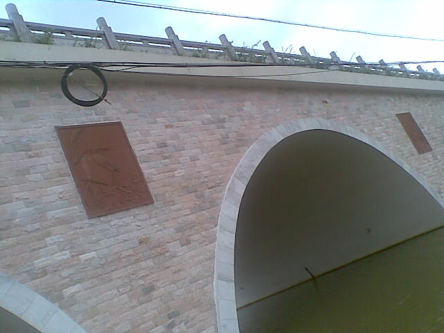 20100819(018).jpg
