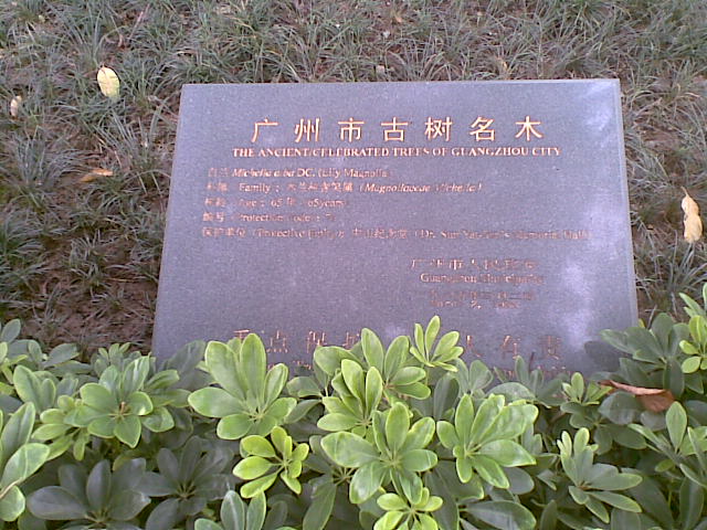 20100822(018).jpg