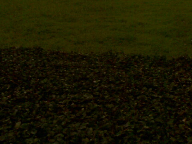 20100822(003).jpg