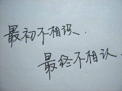 12822060626912.jpg