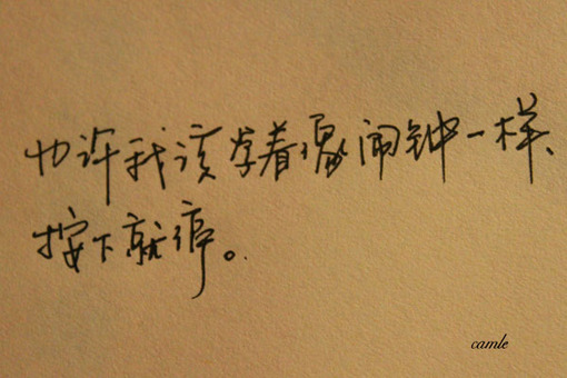 12799002263863.jpg