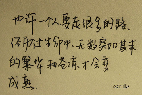 12807527623003.jpg