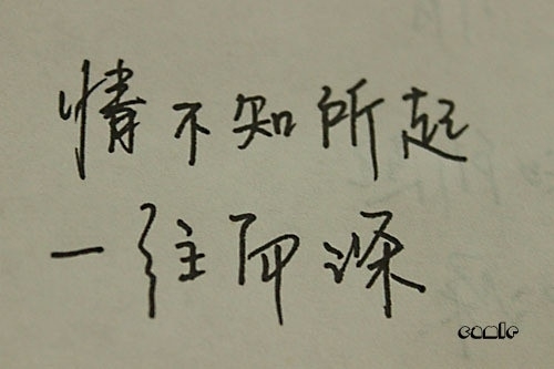 12811974973177.jpg