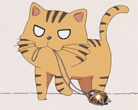 未命名.gif
