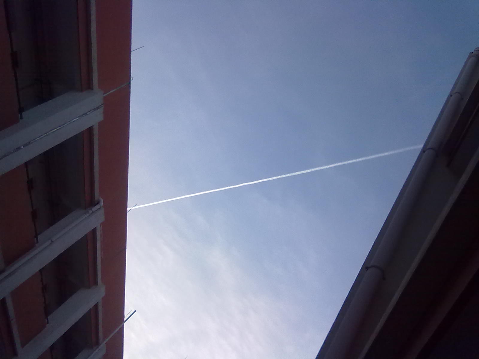 20101111080.jpg