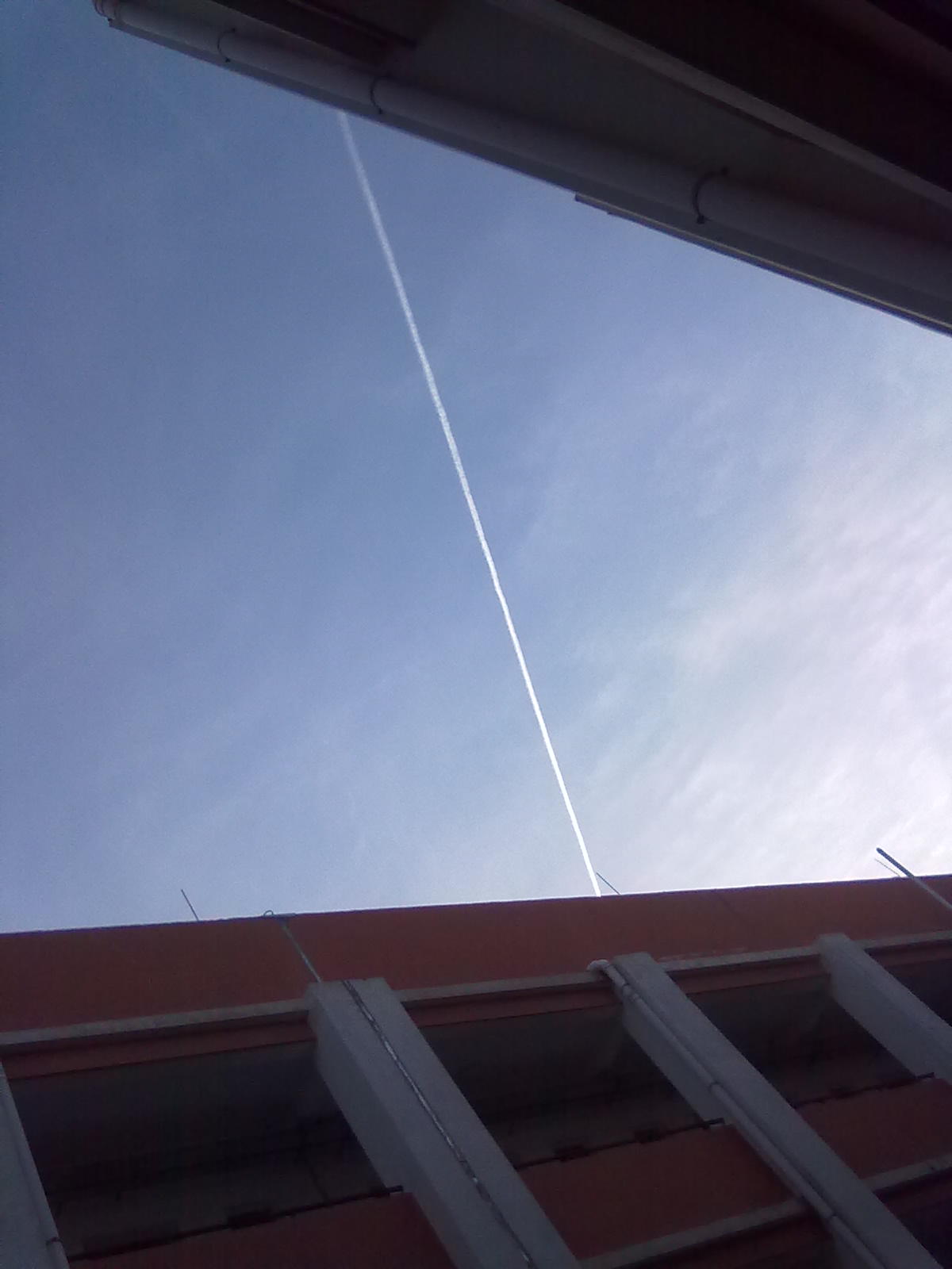 20101111081.jpg