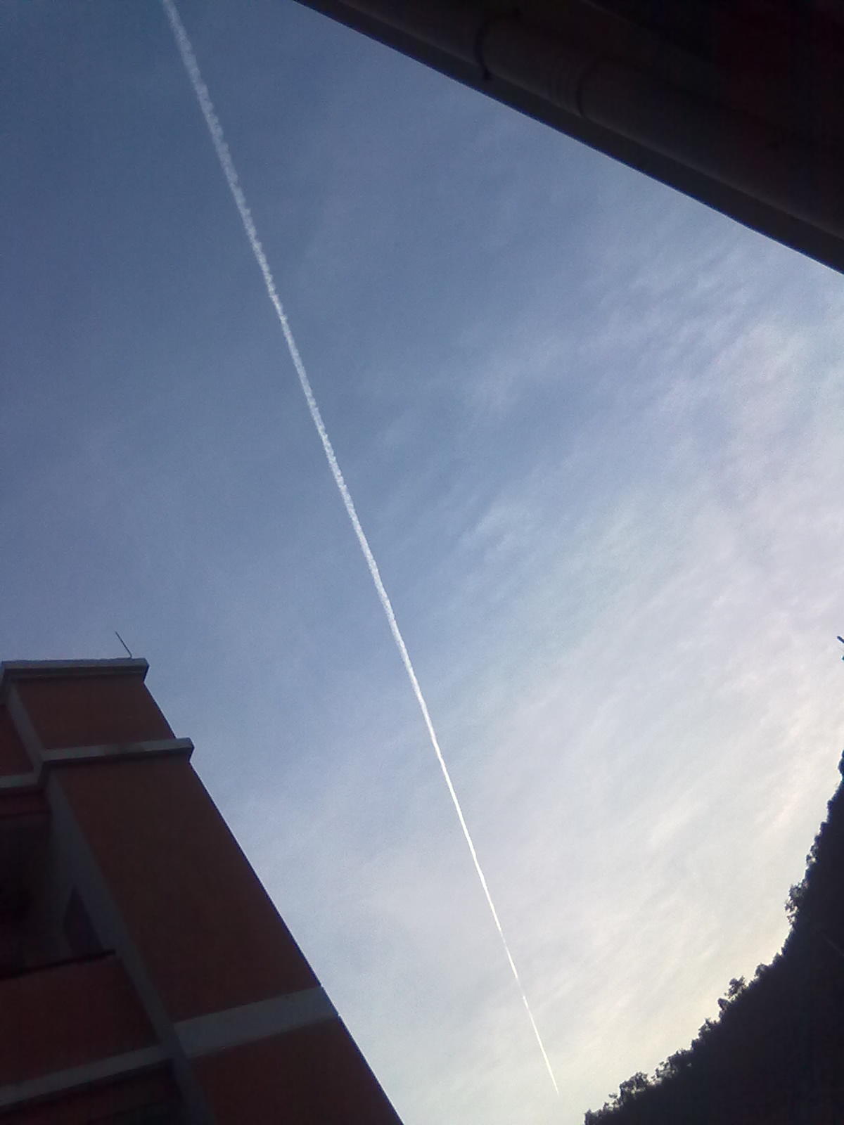 20101111082.jpg