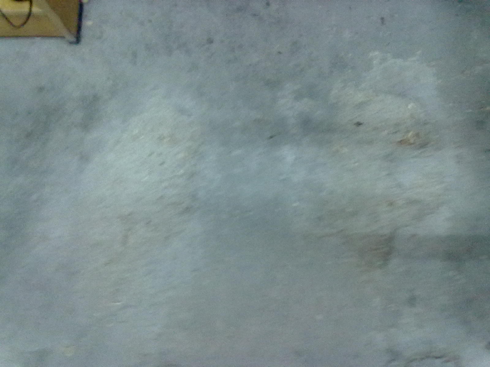 20101120070.jpg