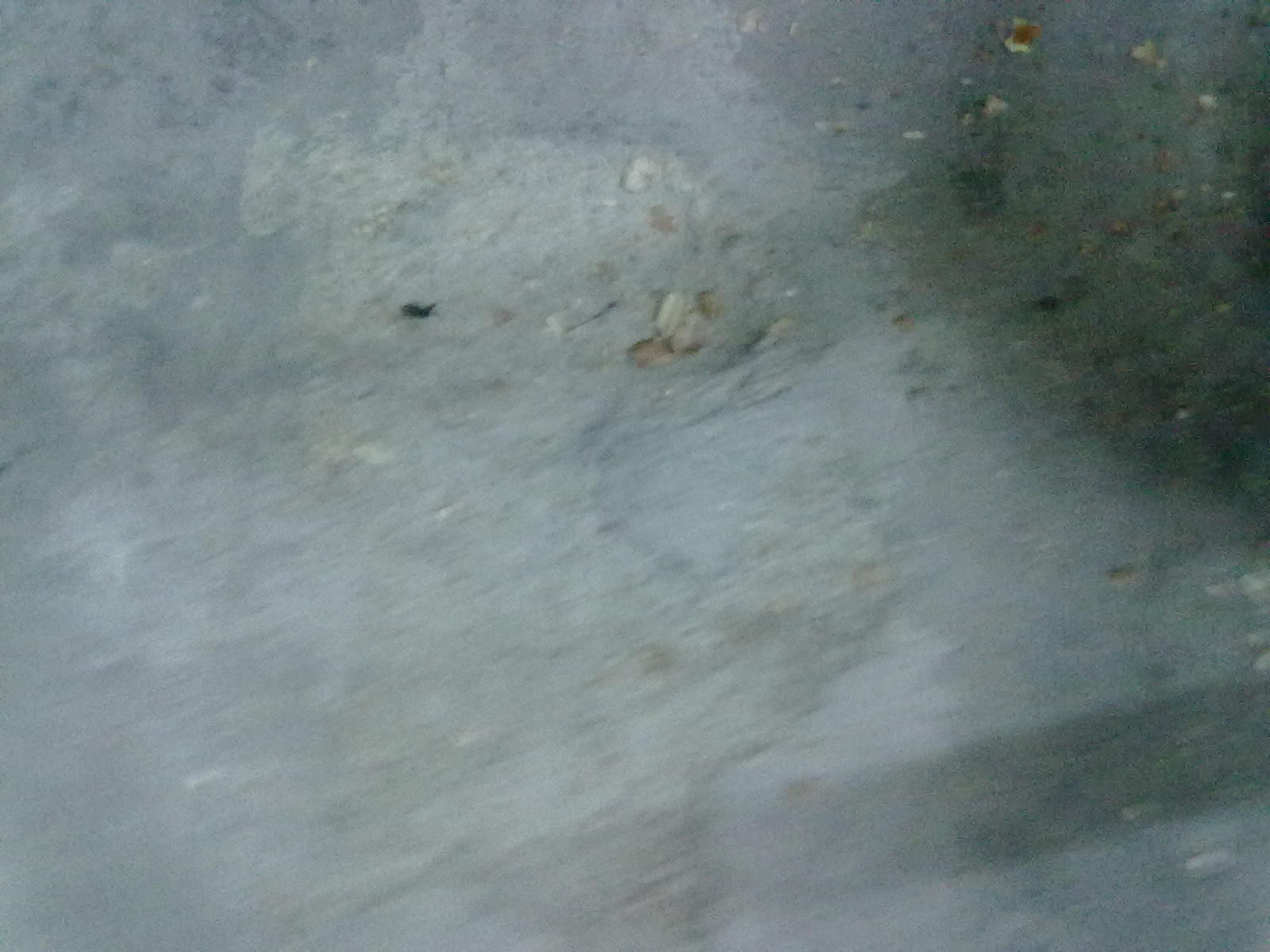 20101120065.jpg