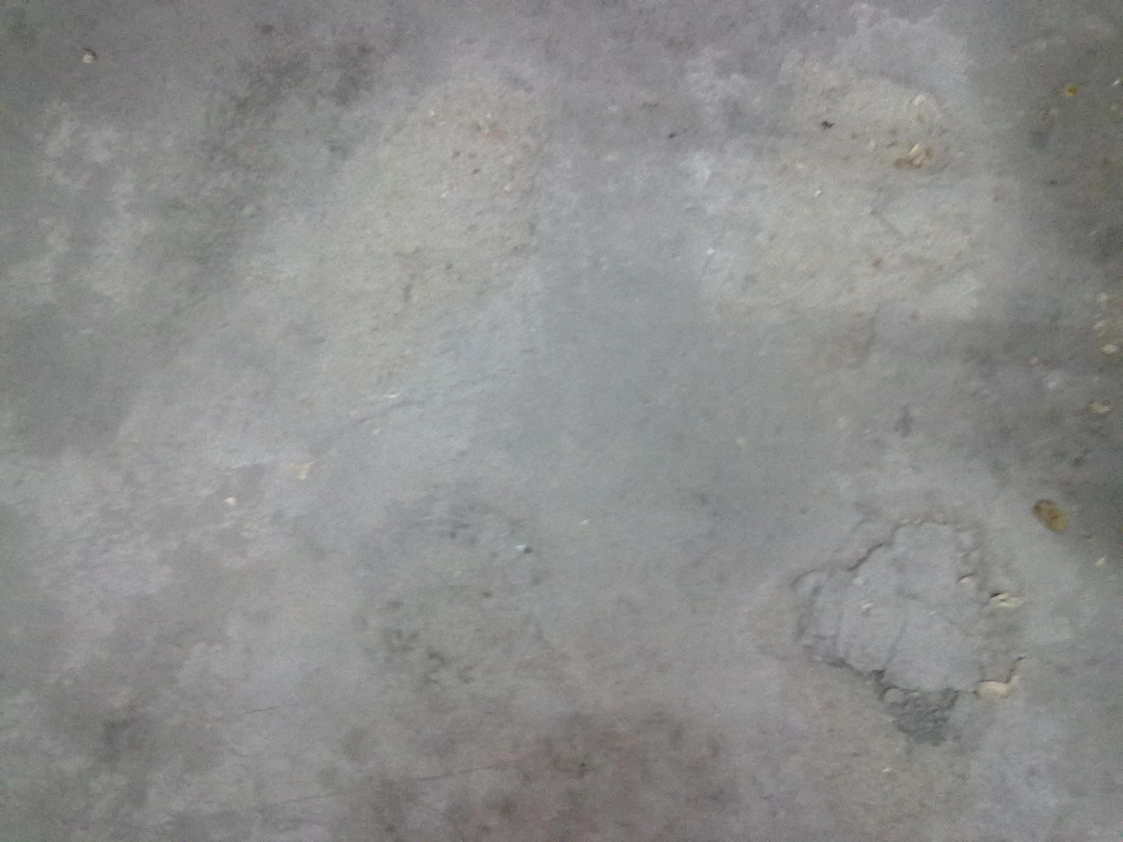20101120068.jpg