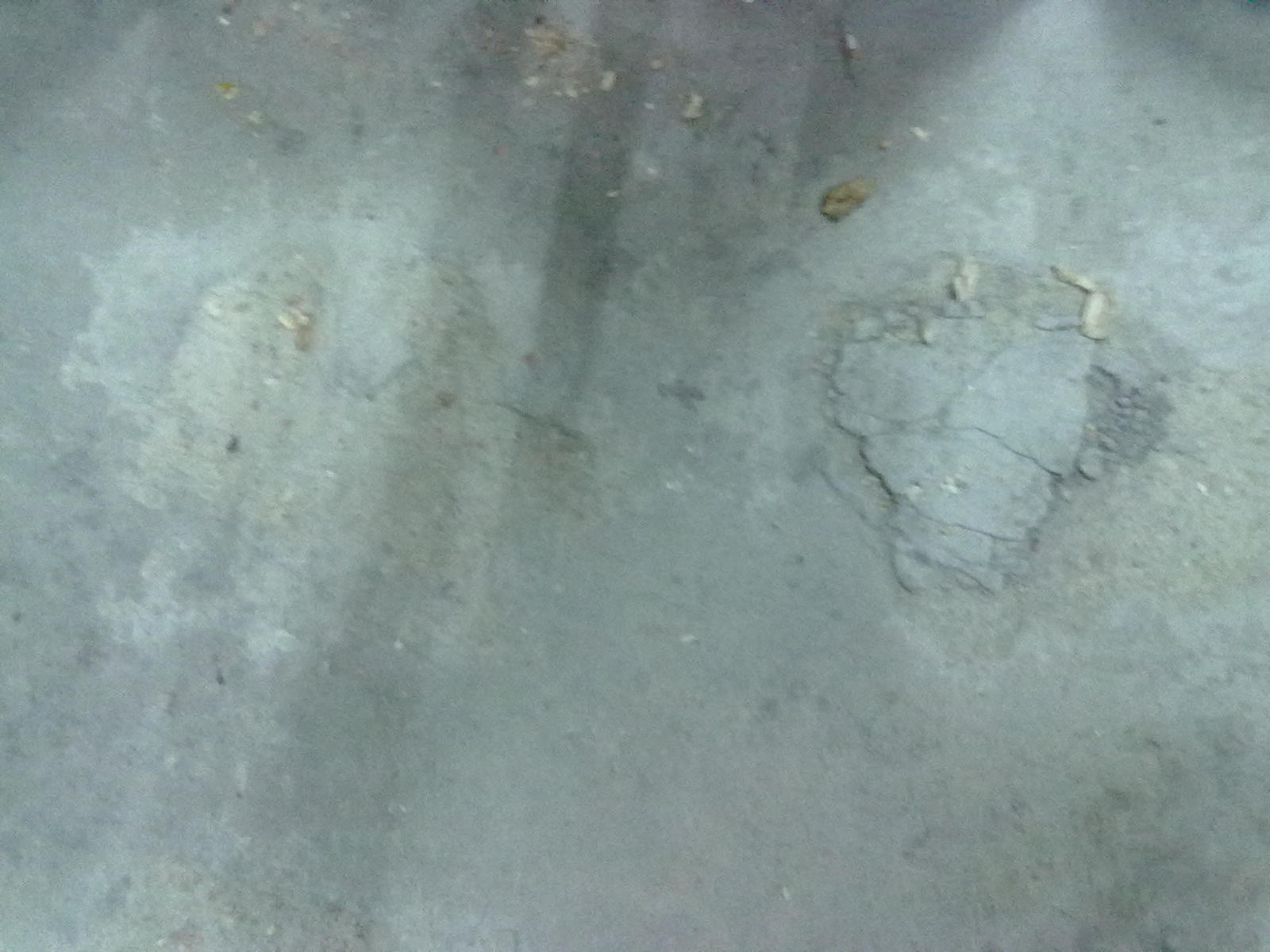 20101120071.jpg