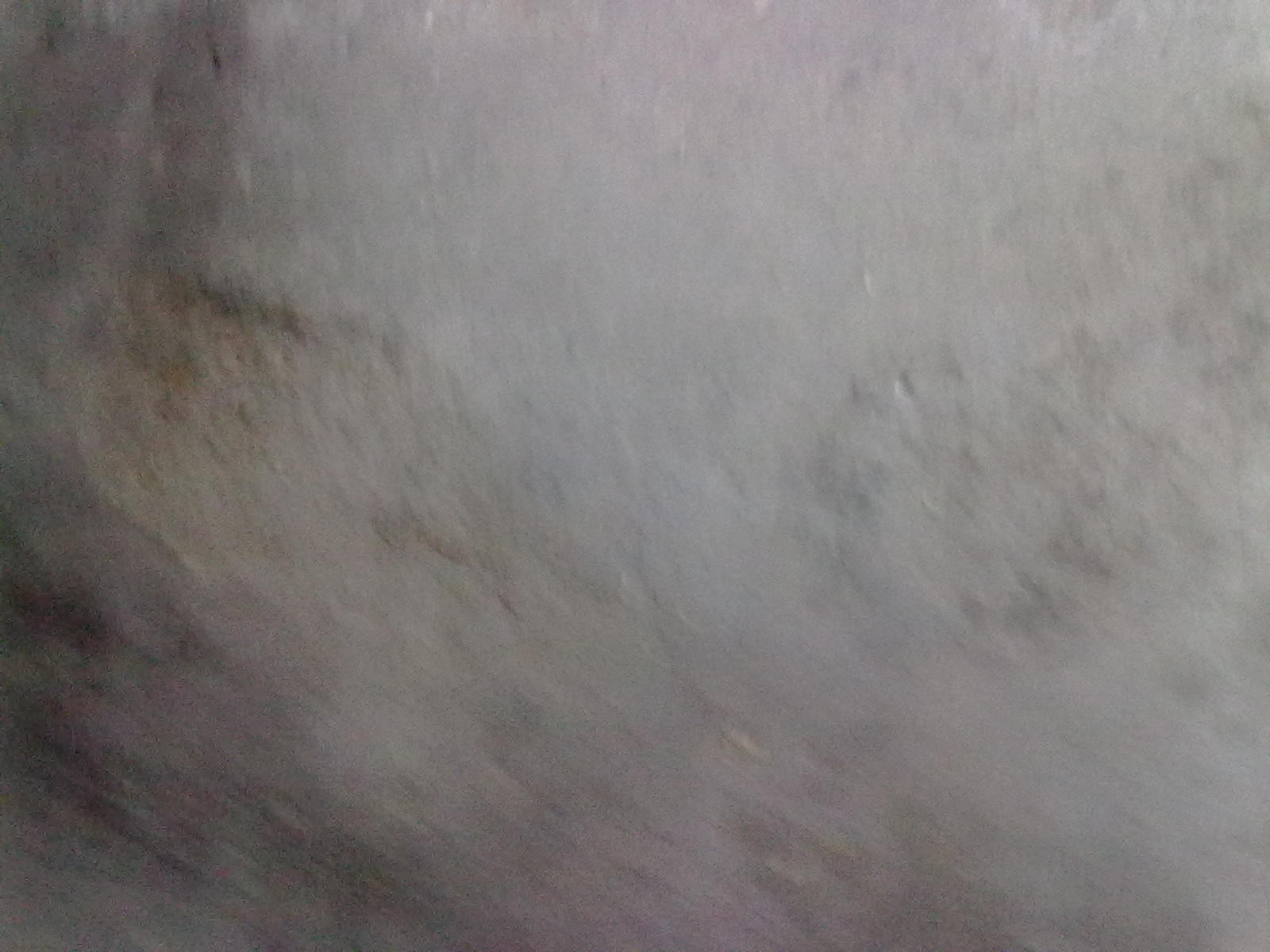 20101120069.jpg