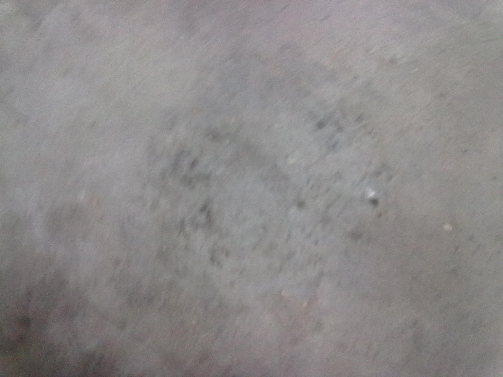 20101120067.jpg