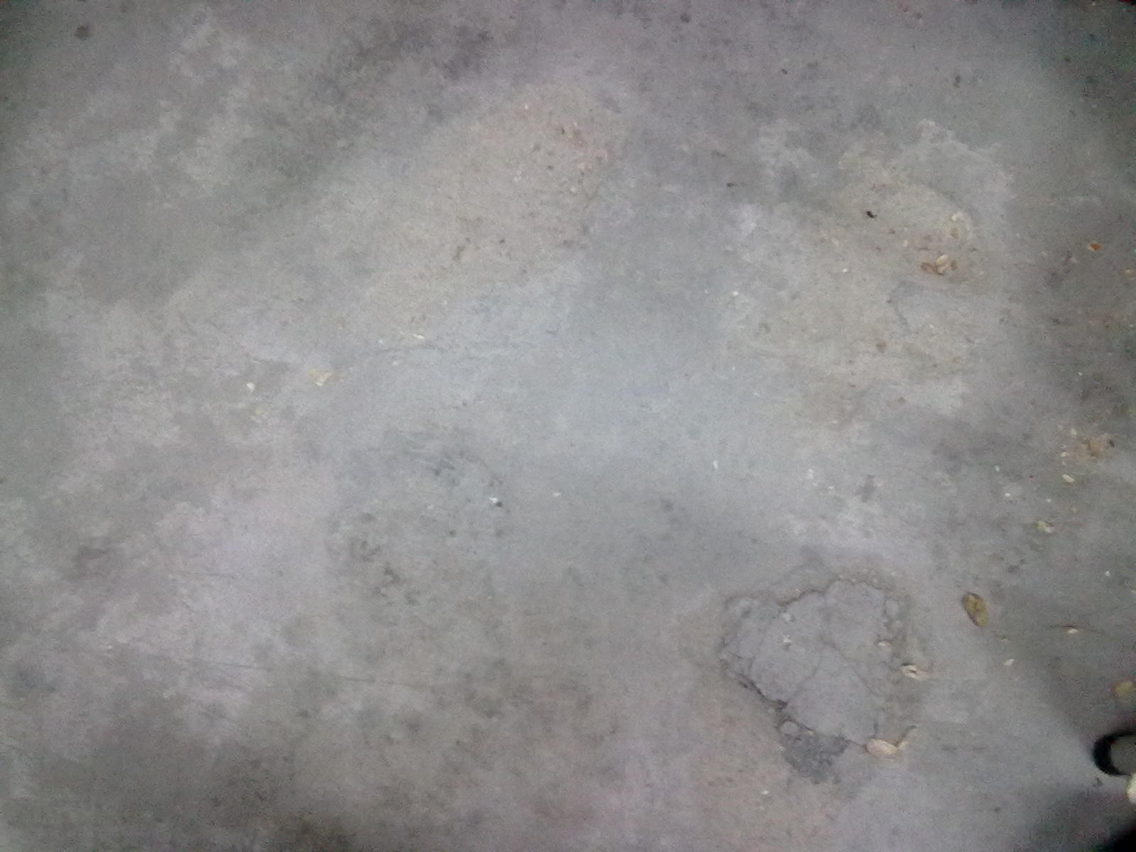 20101120073.jpg