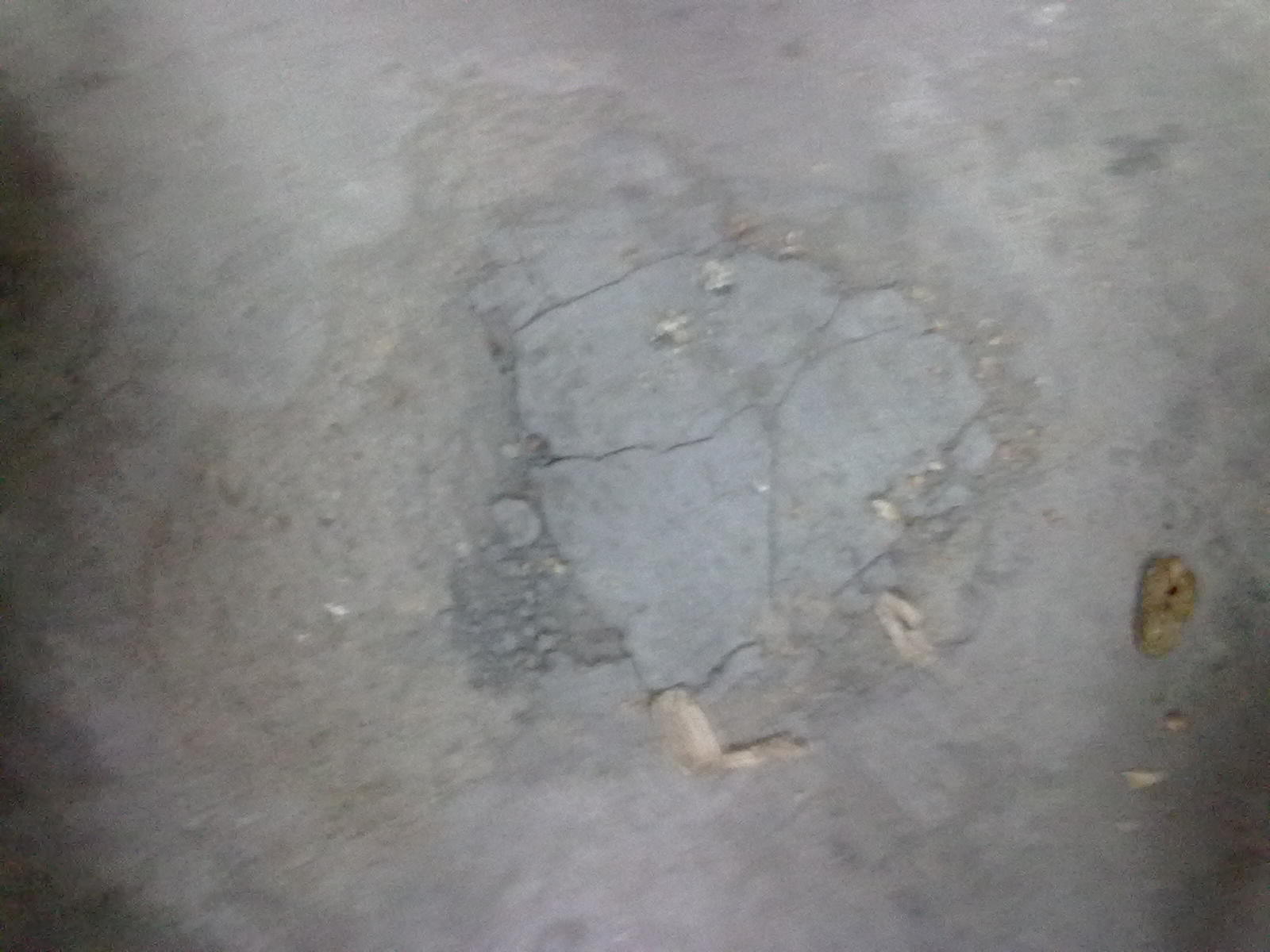 20101120066.jpg